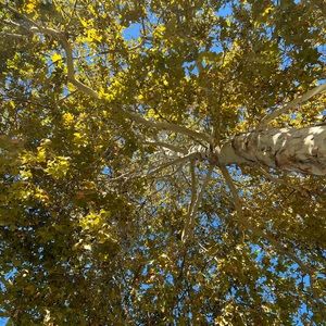 Meet your Posher, Jen